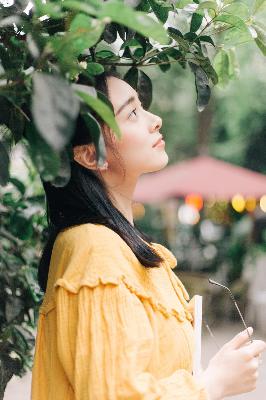 中日双语字幕日剧有哪些