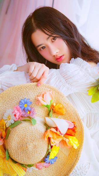 沧元图在线观看全集免费高清