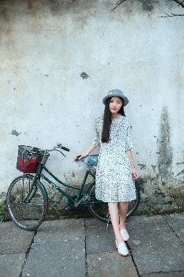 中文在线字幕2023年最新电视剧